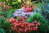 Dsc-0723_196_140x140